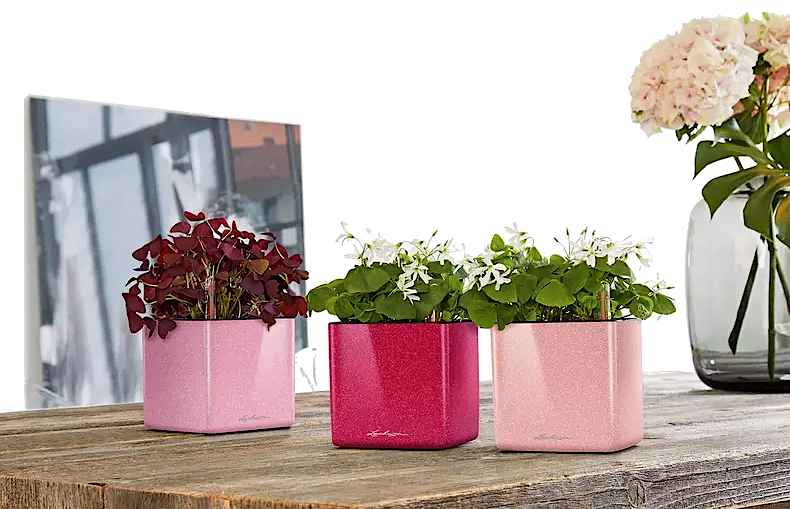 Planting Plate for LECHUZA Planters With Stick Irrigation System